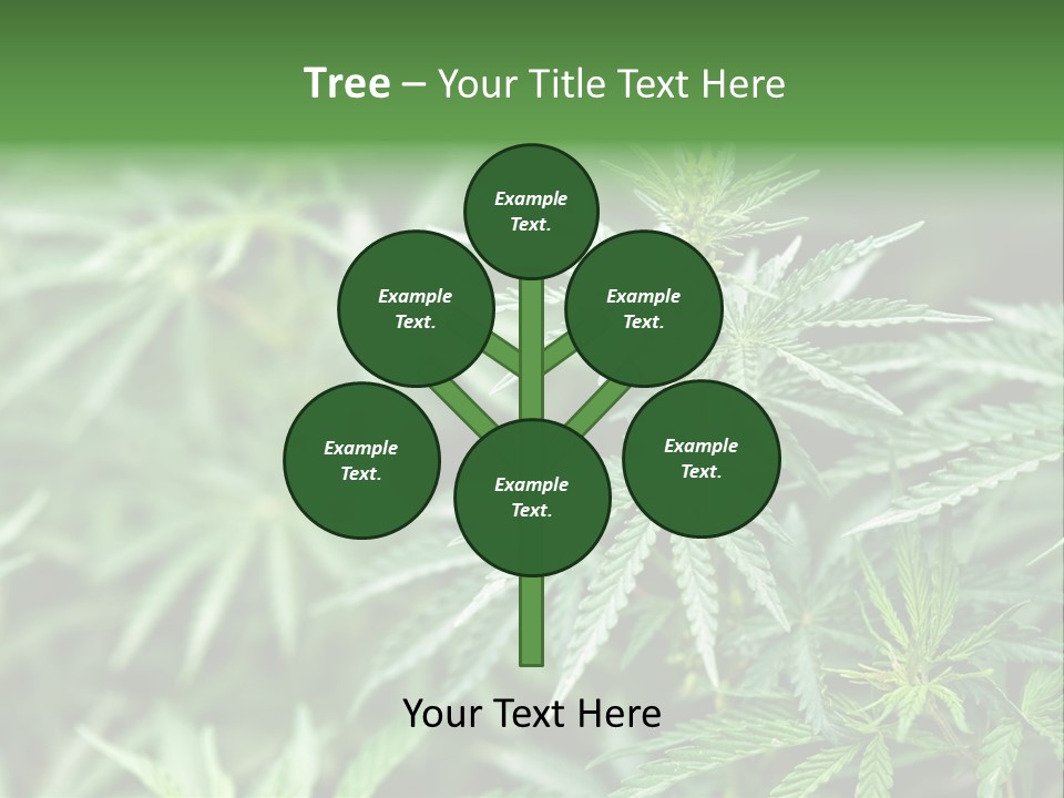 A Plant With Green Leaves Is Shown In This Powerpoint Presentation PowerPoint Template