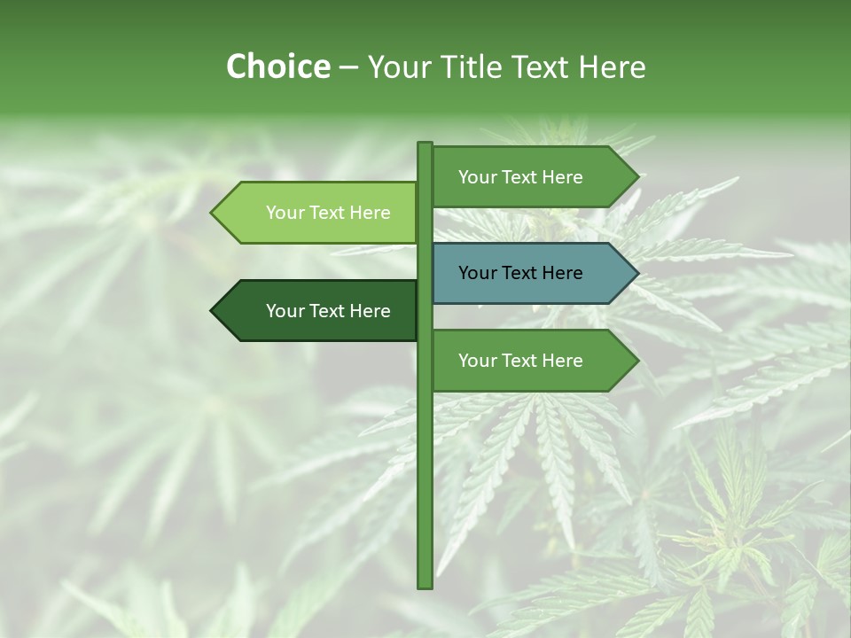 A Plant With Green Leaves Is Shown In This Powerpoint Presentation PowerPoint Template