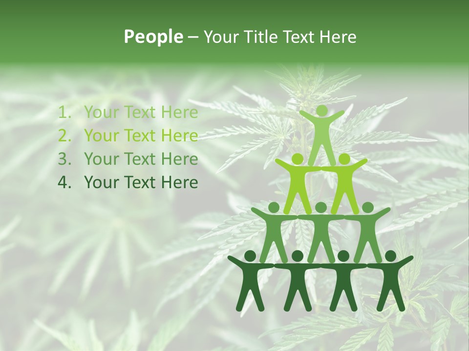 A Plant With Green Leaves Is Shown In This Powerpoint Presentation PowerPoint Template