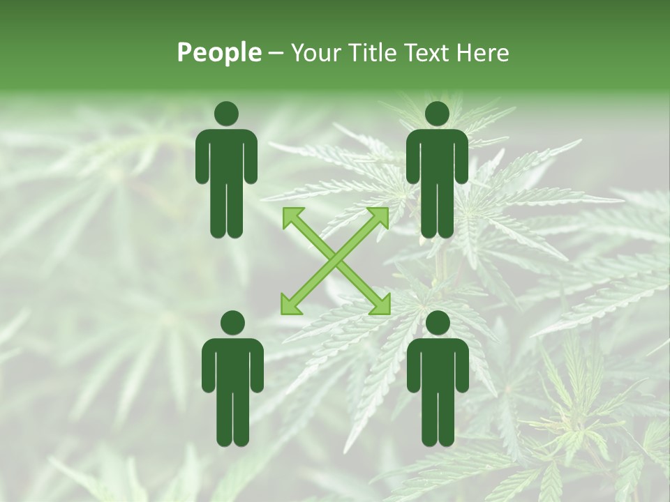 A Plant With Green Leaves Is Shown In This Powerpoint Presentation PowerPoint Template