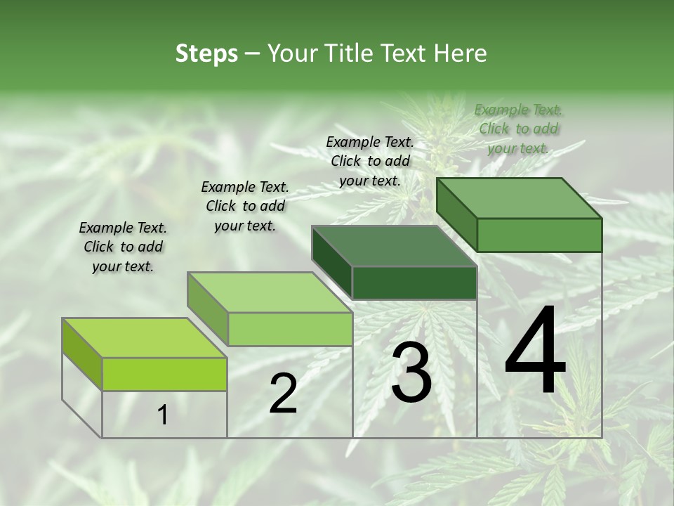 A Plant With Green Leaves Is Shown In This Powerpoint Presentation PowerPoint Template