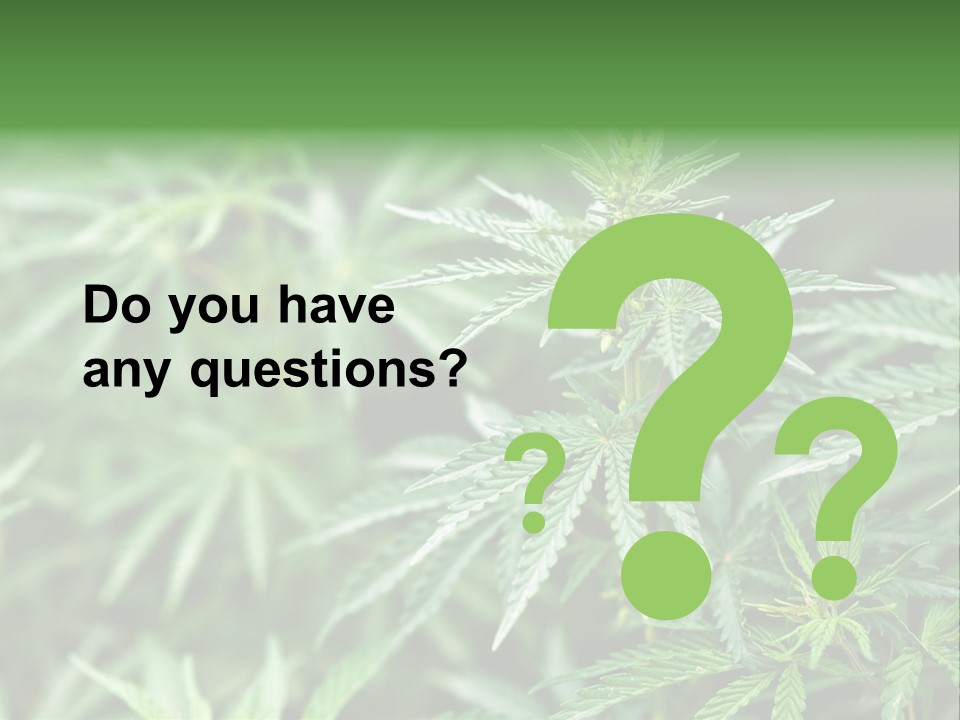 A Plant With Green Leaves Is Shown In This Powerpoint Presentation PowerPoint Template