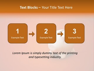 Coin Nobody Finance PowerPoint Template