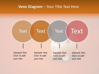 Coin Nobody Finance PowerPoint Template
