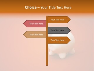 Coin Nobody Finance PowerPoint Template