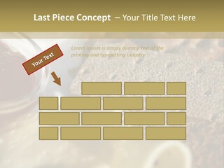 A Plate With Crackers And Cheese On It PowerPoint Template