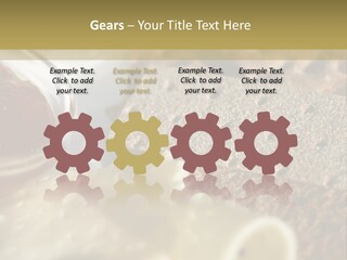 A Plate With Crackers And Cheese On It PowerPoint Template