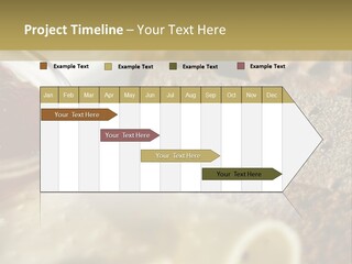 A Plate With Crackers And Cheese On It PowerPoint Template