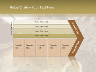 A Plate With Crackers And Cheese On It PowerPoint Template
