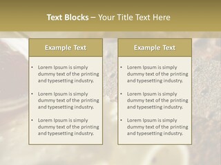 A Plate With Crackers And Cheese On It PowerPoint Template