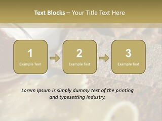 A Plate With Crackers And Cheese On It PowerPoint Template