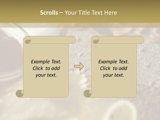 A Plate With Crackers And Cheese On It PowerPoint Template