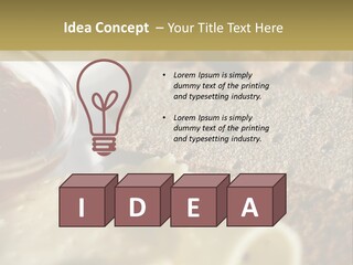 A Plate With Crackers And Cheese On It PowerPoint Template