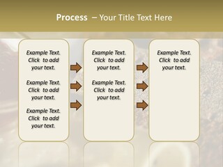 A Plate With Crackers And Cheese On It PowerPoint Template