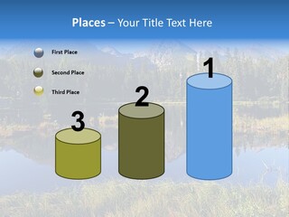 Wildlife Pole Penguin PowerPoint Template