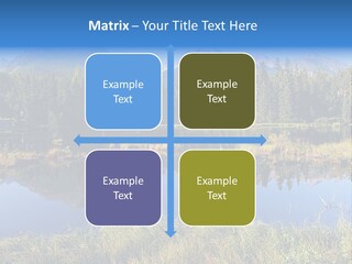 Wildlife Pole Penguin PowerPoint Template