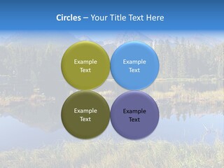 Wildlife Pole Penguin PowerPoint Template