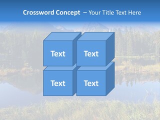 Wildlife Pole Penguin PowerPoint Template