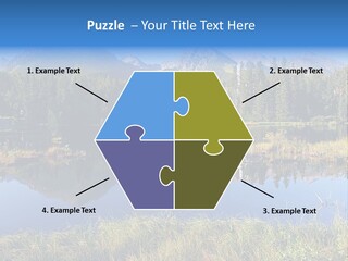 Wildlife Pole Penguin PowerPoint Template