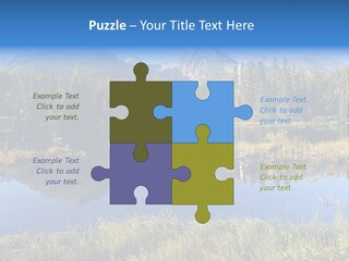 Wildlife Pole Penguin PowerPoint Template