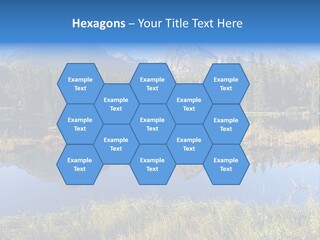 Wildlife Pole Penguin PowerPoint Template