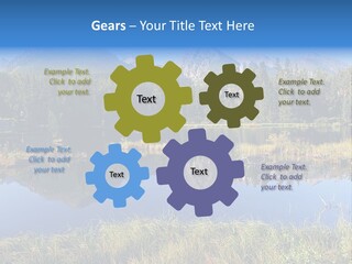 Wildlife Pole Penguin PowerPoint Template