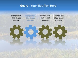 Wildlife Pole Penguin PowerPoint Template