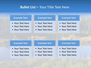 Wildlife Pole Penguin PowerPoint Template