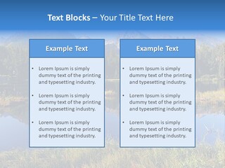 Wildlife Pole Penguin PowerPoint Template