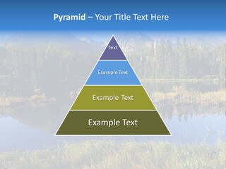 Wildlife Pole Penguin PowerPoint Template