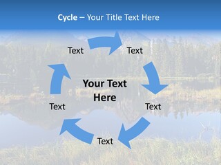 Wildlife Pole Penguin PowerPoint Template