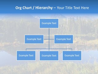Wildlife Pole Penguin PowerPoint Template