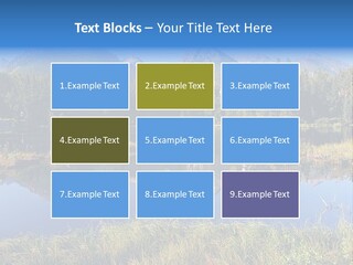 Wildlife Pole Penguin PowerPoint Template