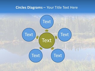 Wildlife Pole Penguin PowerPoint Template