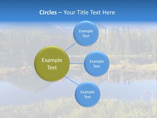 Wildlife Pole Penguin PowerPoint Template