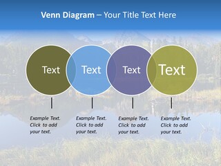 Wildlife Pole Penguin PowerPoint Template