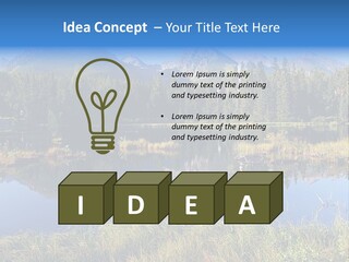 Wildlife Pole Penguin PowerPoint Template