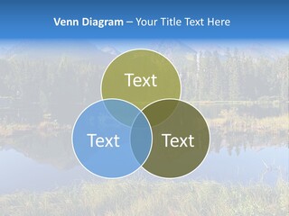 Wildlife Pole Penguin PowerPoint Template