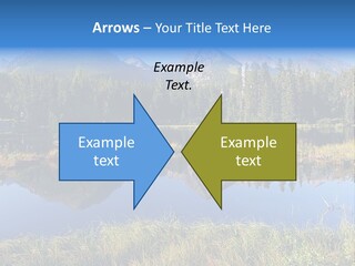 Wildlife Pole Penguin PowerPoint Template