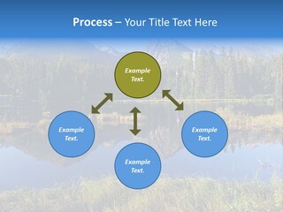 Wildlife Pole Penguin PowerPoint Template