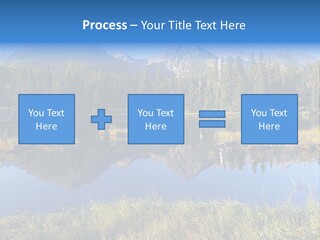 Wildlife Pole Penguin PowerPoint Template
