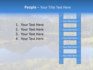 Wildlife Pole Penguin PowerPoint Template