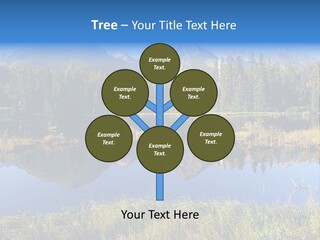 Wildlife Pole Penguin PowerPoint Template