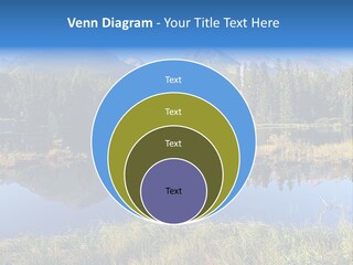 Wildlife Pole Penguin PowerPoint Template