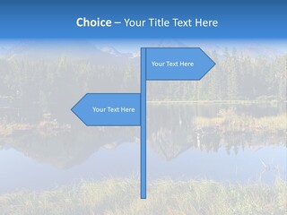 Wildlife Pole Penguin PowerPoint Template