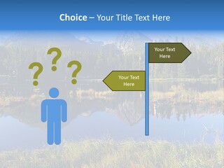 Wildlife Pole Penguin PowerPoint Template