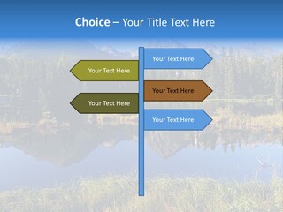 Wildlife Pole Penguin PowerPoint Template