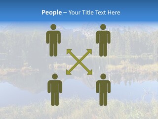 Wildlife Pole Penguin PowerPoint Template