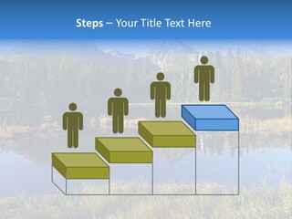 Wildlife Pole Penguin PowerPoint Template