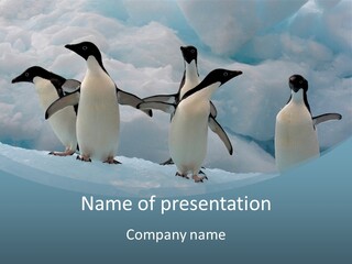 A Group Of Penguins Standing In The Snow PowerPoint Template